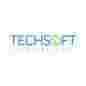 TechSoft International logo
